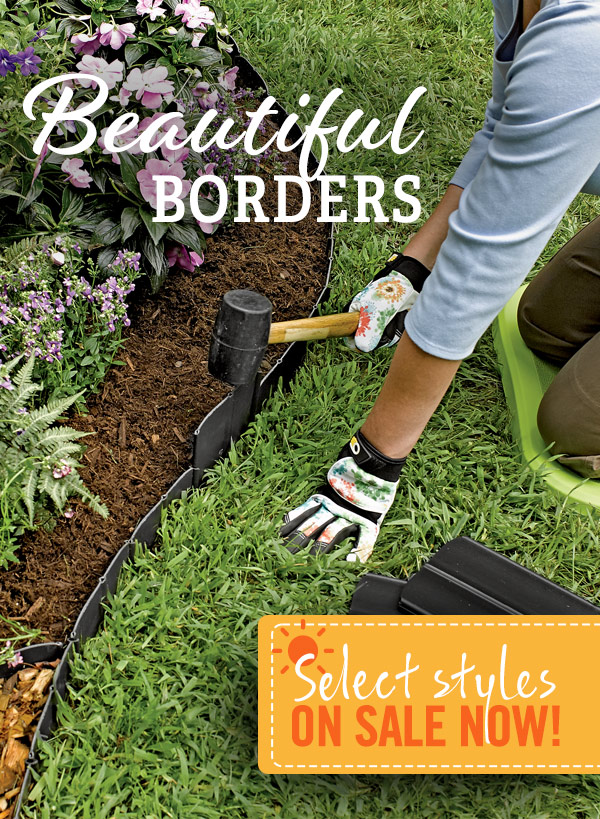 Beautiful Borders - Select styles on sale now!