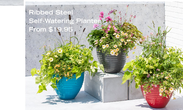 Ribbed Steel Self-Watering Planter From $19.95