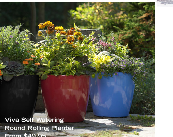 Viva Self Watering Round Rolling Planter From $49.95