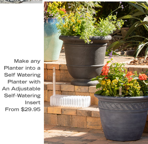 Make any planter into a self watering planter with an adjustable self-watering insert from $29.95