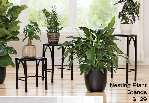 Nesting Plant Stands, $129