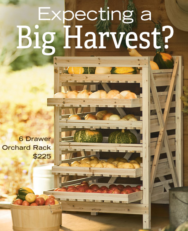 Expecting a Big Harvest? Pictured: 6 Drawer Orchard Rack, $225, holding squash, potatoes and onions.