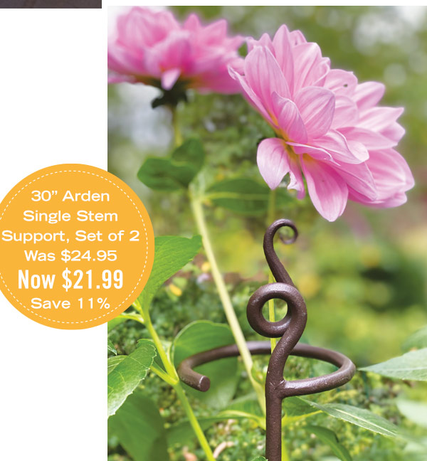 Arden Single Stem Support, Set of 2 was $24.95, now $21.99, save 11%