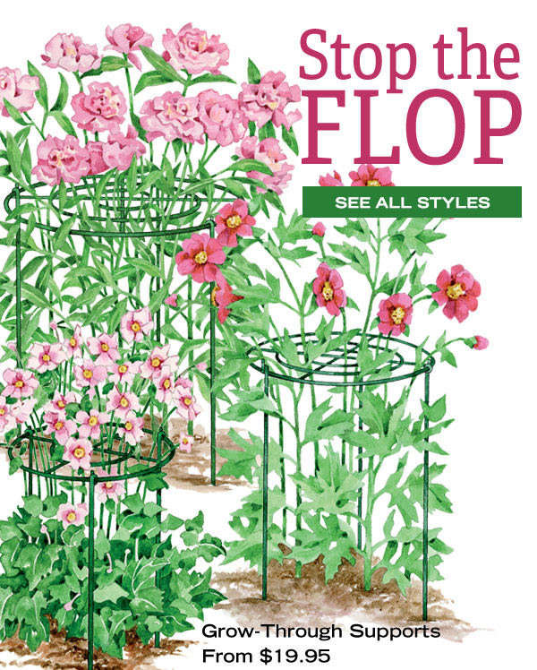 Stop the Flop- See All Styles. Grow- Through Support From $19.95