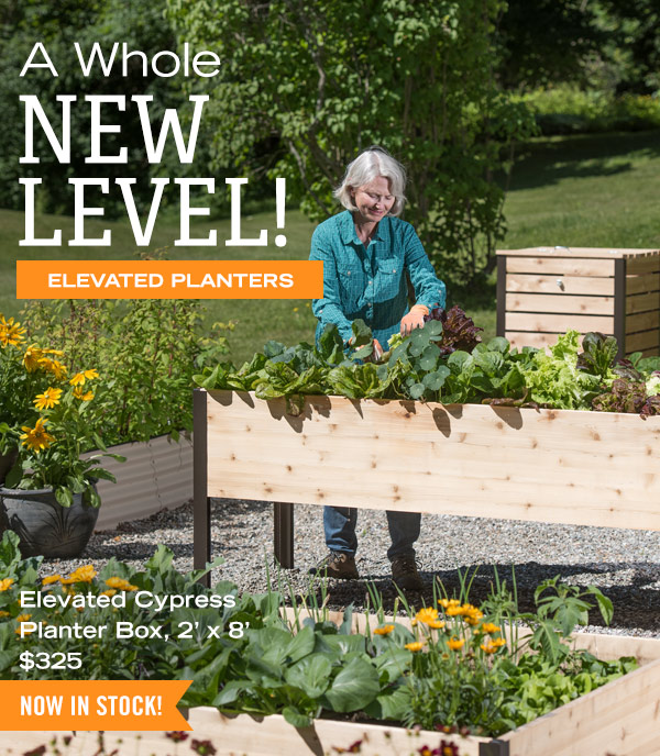 A Whole New Level! Elevated Planters. Pictured: Elevated Cypress Planter Box, 2' x 8', $325 - Now In Stock!