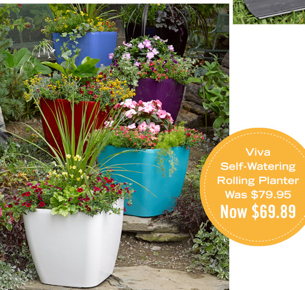 Viva Self-Watering Rolling Planter, was $79.95, now $69.89