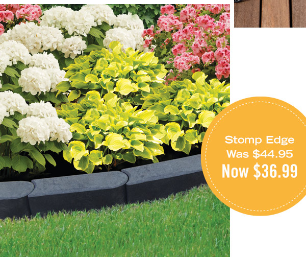 Stomp Edge, was $44.95, now $36.99