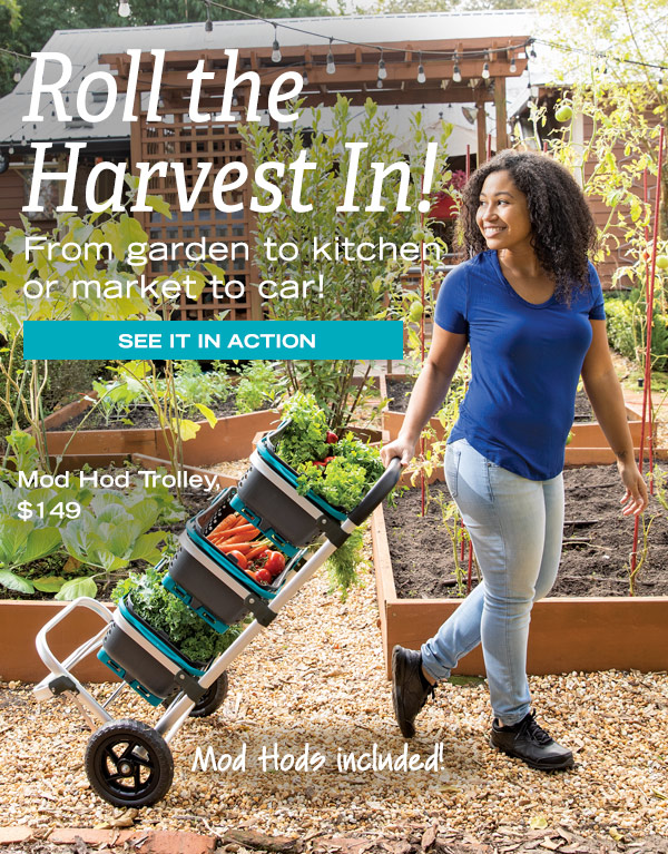 Roll the Harvest In! From garden to kitchen, or market to car! See it in Action! Pictured: Young woman wheeling the Mod Hod Trolley, $149, through a garden of raised beds.