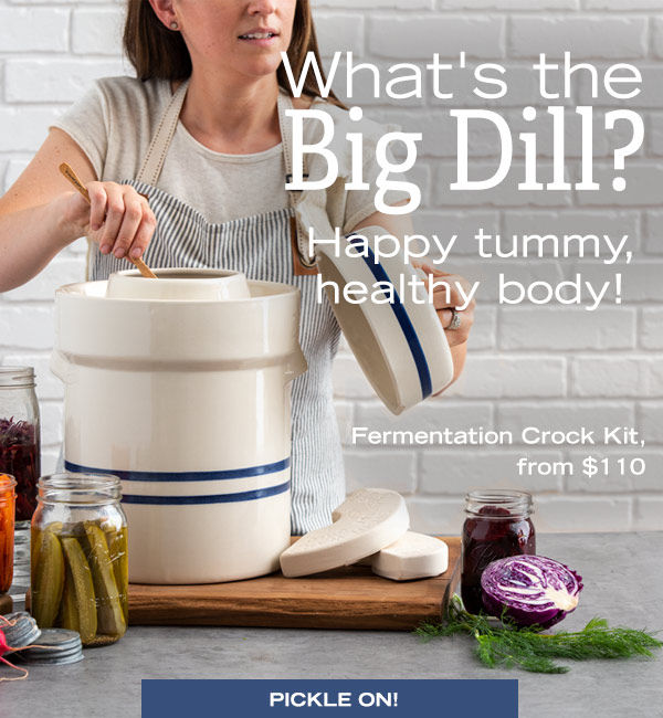 What's the Big Dill? Happy tummy, healthy body! Pictured: Fermentation Crock Kit, from $110.