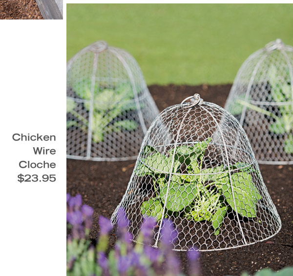 Chicken Wire Cloche, $23.95