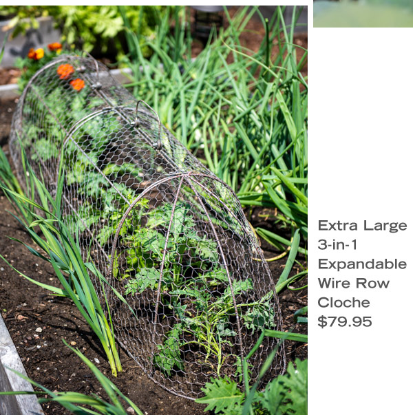 Extra Large 3-in-1 Expandable Wire Row Cloche, $79.95