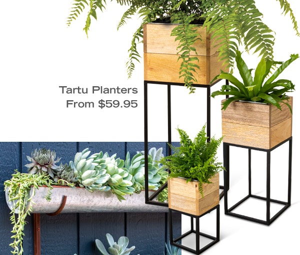 Tartu Planters, from $59.95