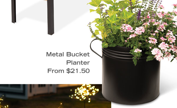 Metal Bucket Planter, from $21.50