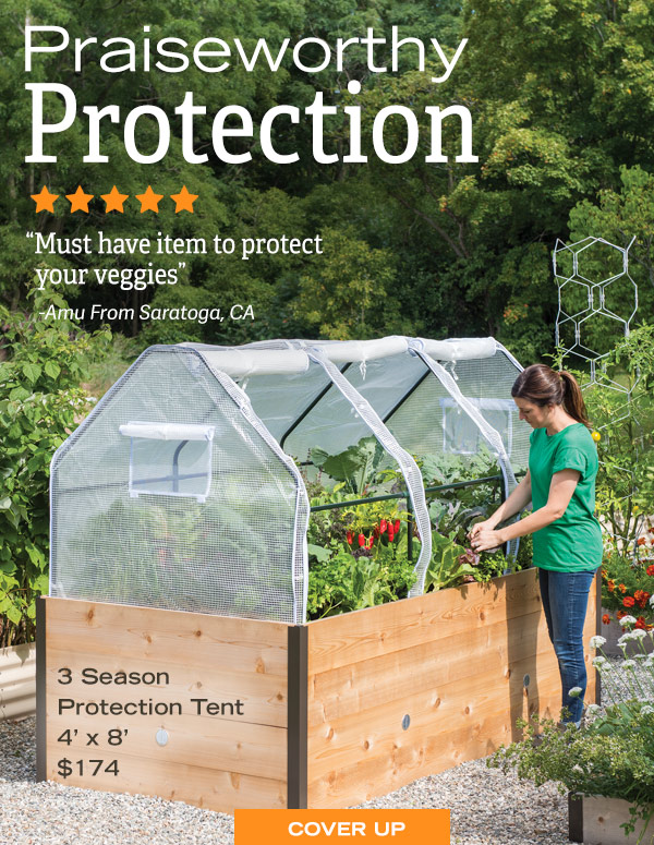 Praiseworthy Protection ***** "Must have item to protect your veggies" - Amu From Saratoga, CA. Pictured: Woman harvesting salad green from a 3 Season Protection Tent, 4' x 8' $174.