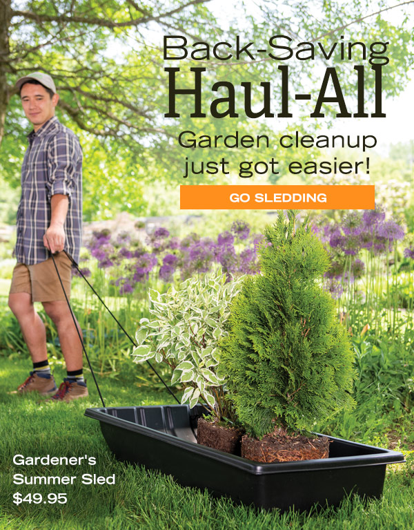 Back-Saving, Haul-All! Garden Cleanup just got easier! Go Sledding. Pictured: Gardener's Summer Sled, $49.95, filled with shrubs for planting, being pulled across a yard by a young man.