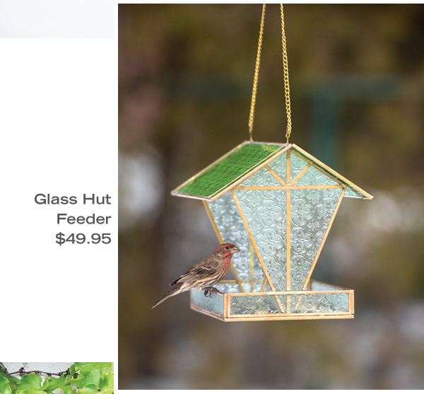 Glass Hut Feeder, $49.95