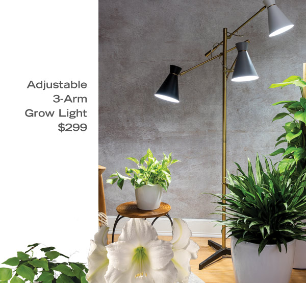 Adjustable 3-Arm Grow Light $299