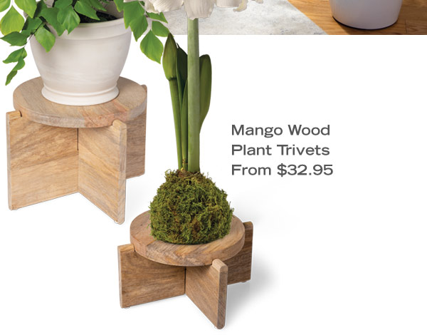 Mango Wood Plant Trivets from $32.95