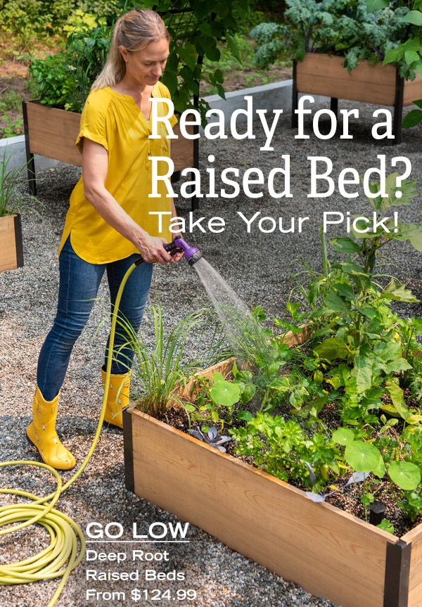 Ready for a Raised Bed? Take Your Pick! Go Low - Deep Root Raised Beds from $110