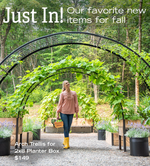 Just In! Our favorite new items for fall, Arch Trellis for 2x8 Planter Box $149