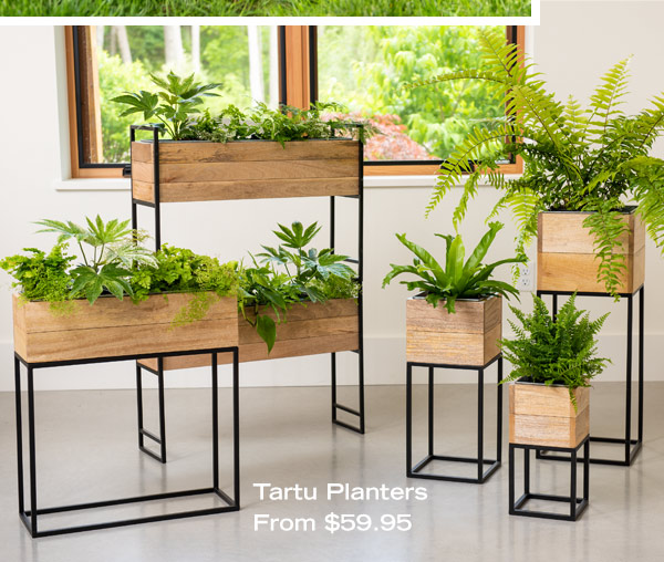 Tartu Planters From $59.95 Discover More