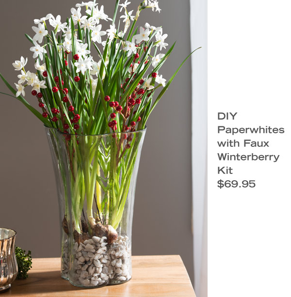 DIY Paperwhites with Faux Winterberry Kit, $69.95