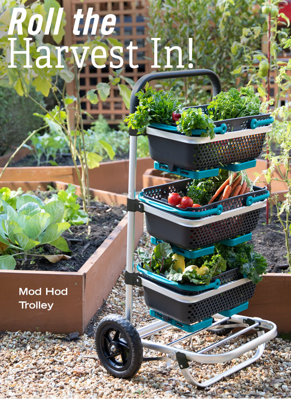 Roll the Harvest In! Pictured: Mod Hod Trolley filled with garden veggies.