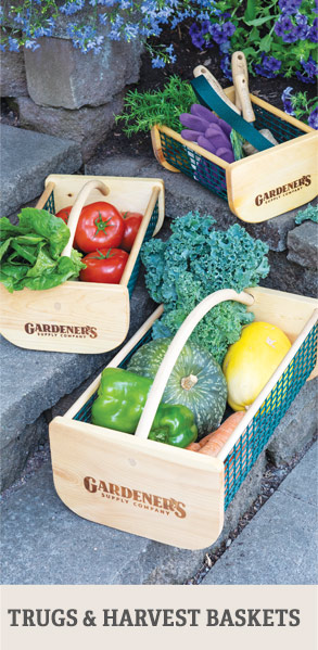 Shop Trugs & Harvest Baskets