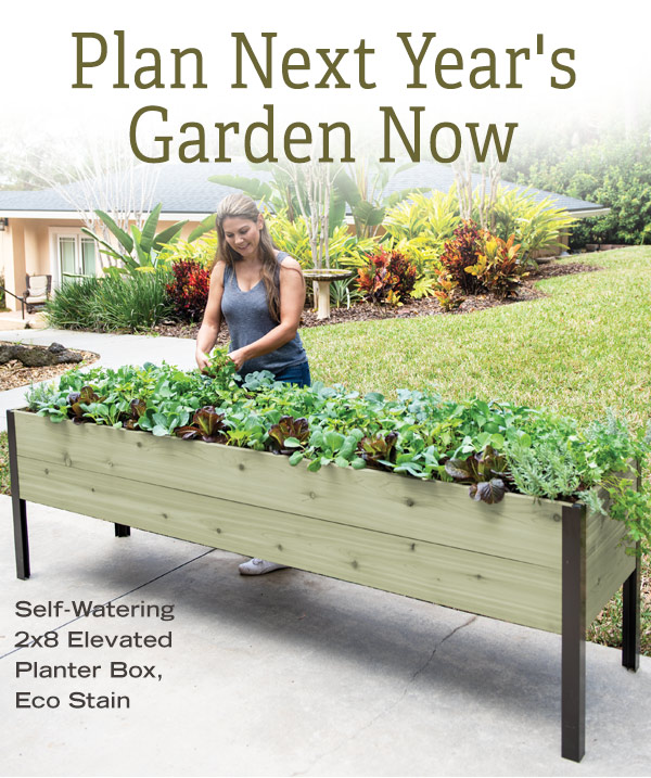 Plan Next Year's Garden Now - Pictured: Woman tending a Self-Watering 2x8 Elevated Planter Box, Eco Stain, filled with lettuce and mixed greens.