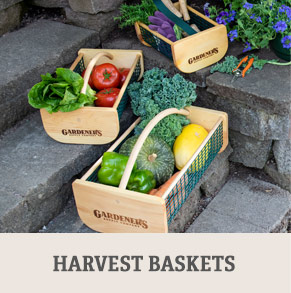 Shop Harvest Baskets