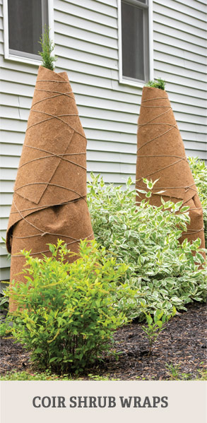 Coir Shrub Wraps