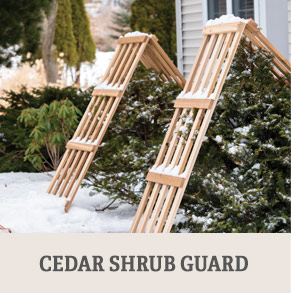 Cedar Shrub Guard