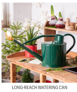 Long-Reach Watering Can