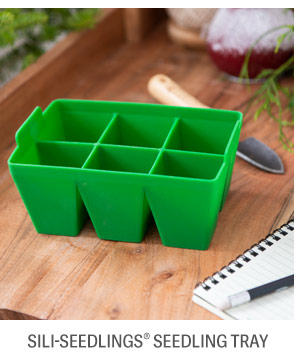 Sili-Seedlings(R) Seedling Tray