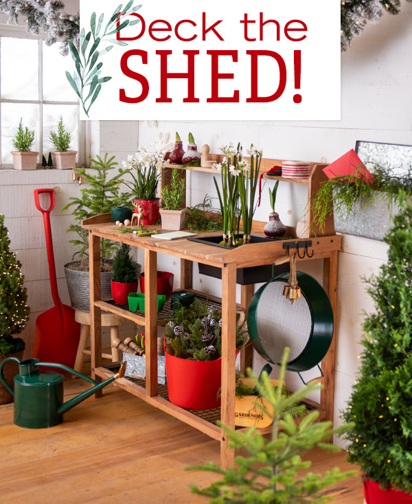 Deck the Shed!