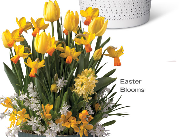 Easter Blooms