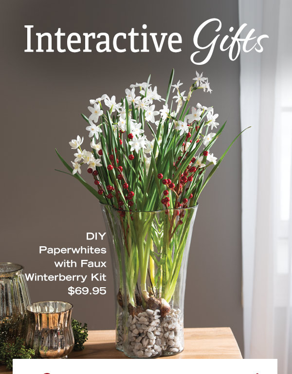 Interactive Gifts - DIY Paperwhites with Faux Winterberry Kit, $69.95