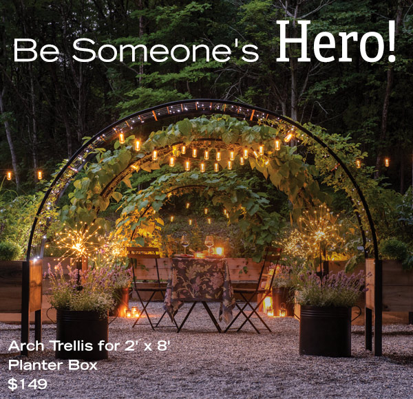 Be Someone's Hero! Arch Trellis for 2' x 8' Planter Box, $149