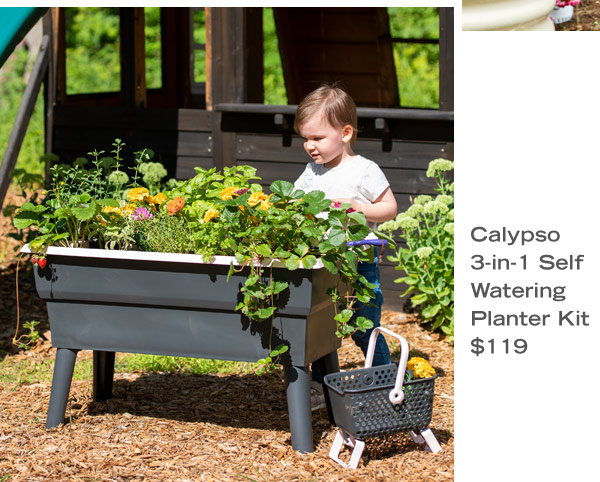 Calypso 3-in-1 Self Watering Planter Kit, $119