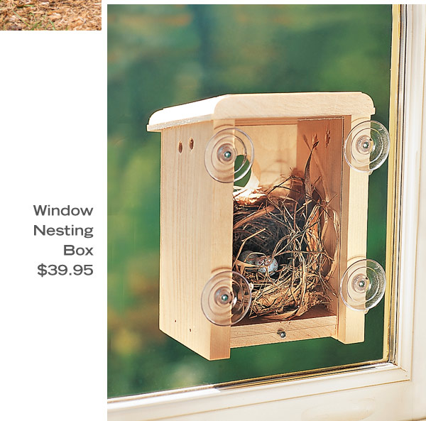 Window Nesting Box, $39.95