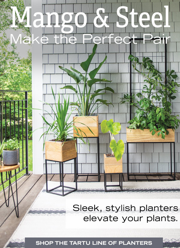 Mango & Steel Make the Perfect Pair. Sleek, stylish planters elevate your plants. Shop the Tartu Line of Planters