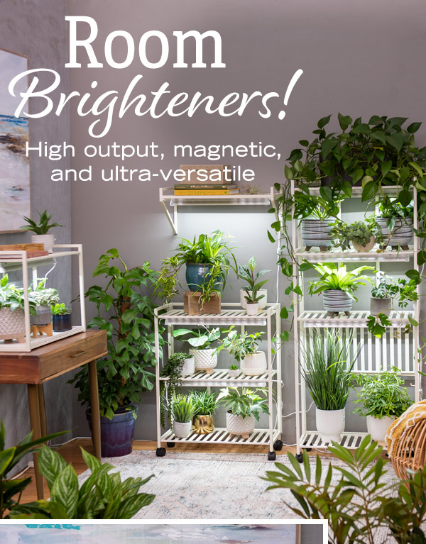 Room Brighteners! High output, magnetic, and ultra-versatile