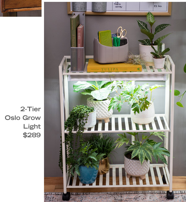 2-Tier Oslo Grow Light, $289