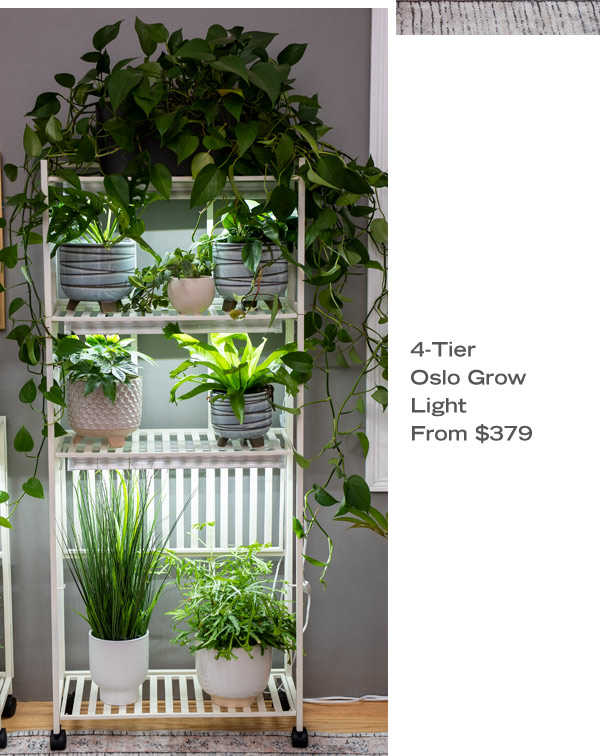 4-Tier Oslo Grow Light, From $379