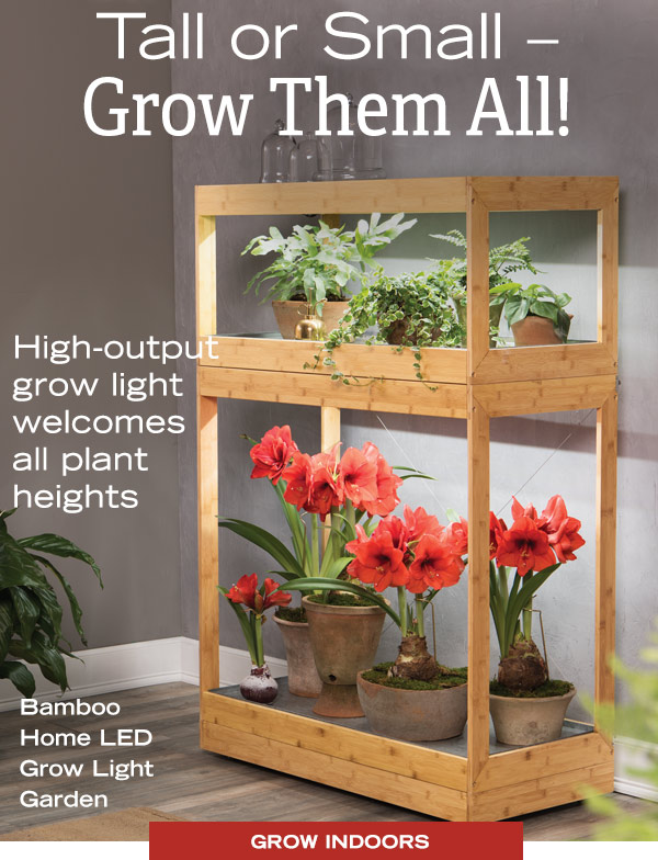 Tall or Small - Grow them All! High-output grow light welcomes all plant heights! Shown: Bamboo Home LED Grow Light Garden