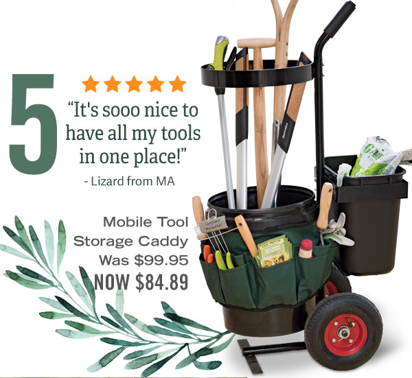 5 -Mobile Tool Storage Caddy, was $99.95, now $84.89. Five-star Review: "It's sooo nice to have all my tools in one place!" - Lizard from MA