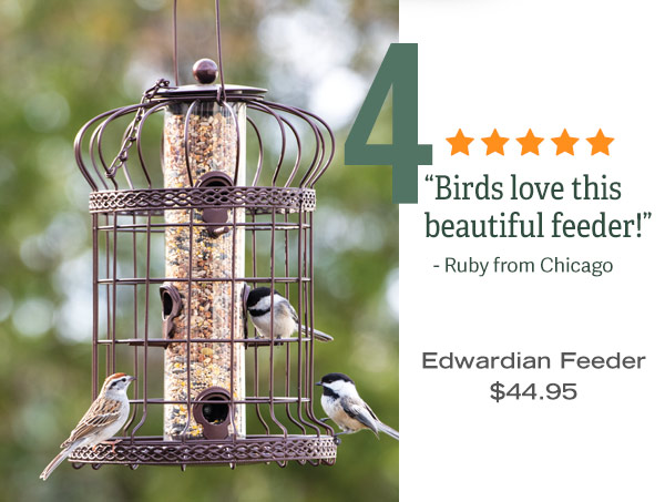 4 -Edwardian Feeder, $44.95. Five-star Review: "Birds love this beautiful feeder!" - Ruby from Chicago