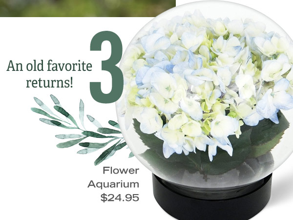 3 -Flower Aquarium, $24.95. An old favorite returns!