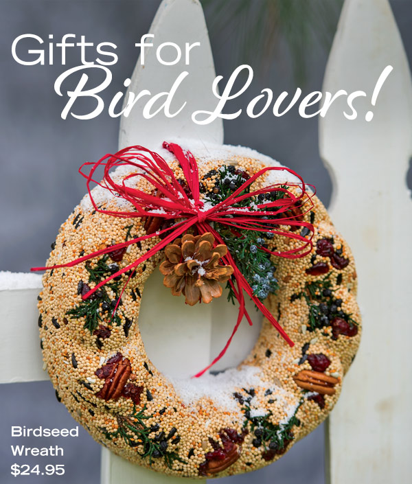 Gifts for Bird Lovers! Pictured: Birdseed Wreath, $24.95