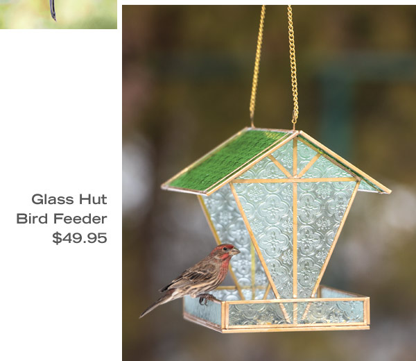 Glass Hut Bird Feeder, $49.95